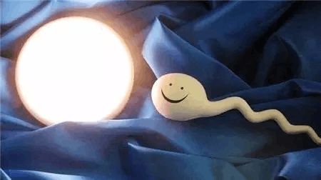 培养箱